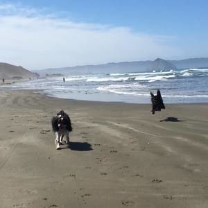 Meet your Posher, Denise